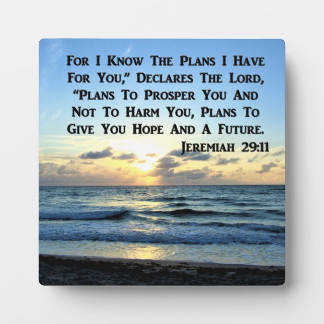 BEAUTIFUL JEREMIAH 29:11 BLUE SKIES PLAQUE (Front)