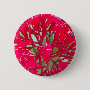 Beautiful Kaleidoscope of Colourful Red Milkweed 6 Cm Round Badge