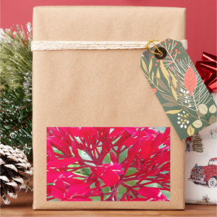 Beautiful Kaleidoscope of Colourful Red Milkweed  Rectangular Sticker