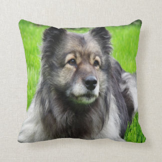 Beautiful Keeshond Cushion