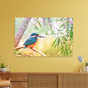 Beautiful Kingfisher Bird on a Tree Limb Canvas Print
