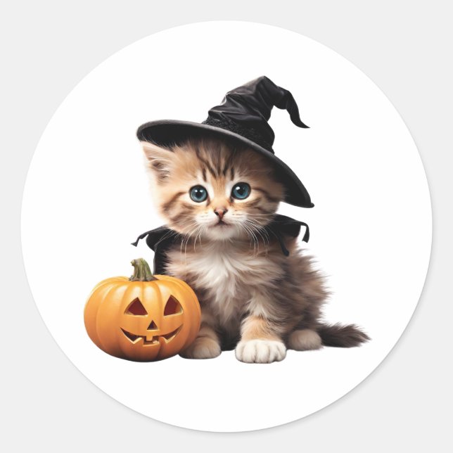 Beautiful Kitten in Halloween Witch Costume  Classic Round Sticker (Front)