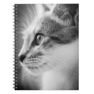 Beautiful Kitten Notebook
