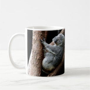 Beautiful Koala Bear in a Tree Coffee Mug