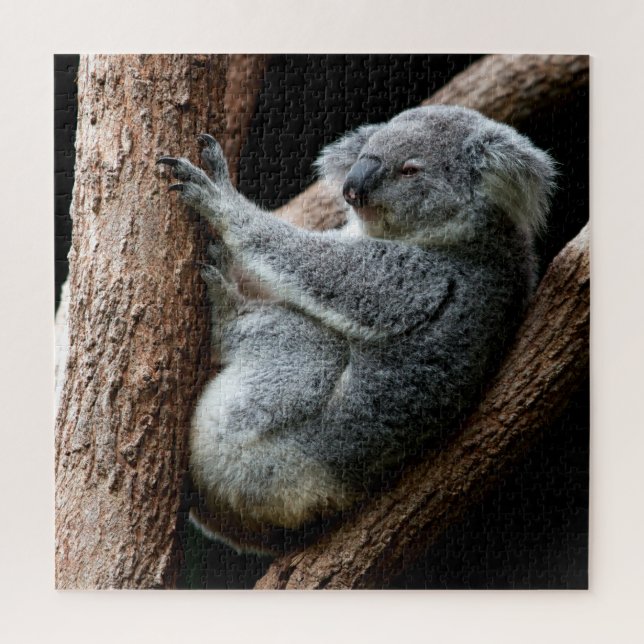 Beautiful Koala Bear in a Tree Jigsaw Puzzle (Vertical)
