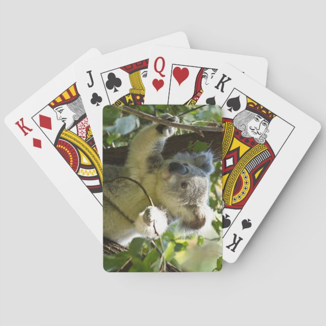 Beautiful Koala Bear in the Trees Playing Cards (Back)