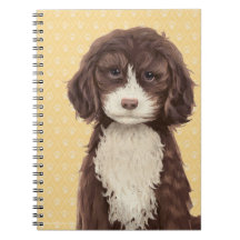 Beautiful Labradoodle Love Dog Paw Painting Print