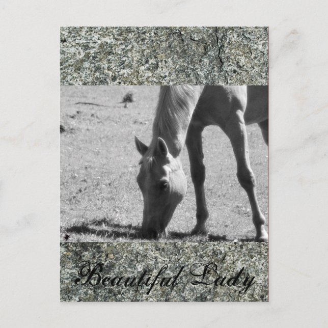 Beautiful Lady Postcard (Front)