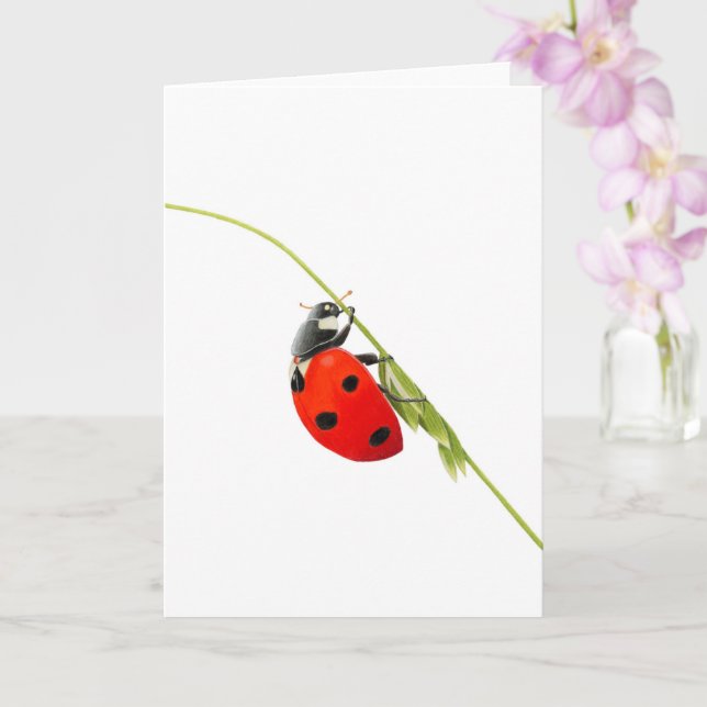 Beautiful Ladybug Drawing  Folded Greeting Card (Orchid)