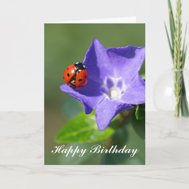 Beautiful Ladybug on Periwinkle Birthday Card (Front)