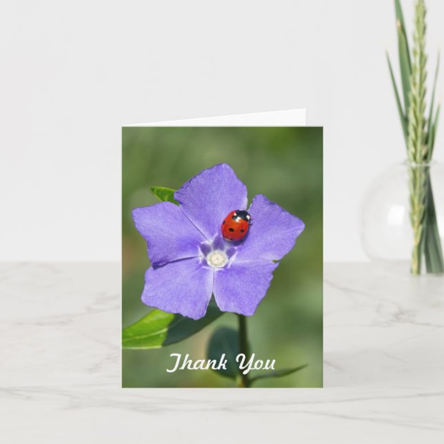 Beautiful Ladybug on Periwinkle Thank you Card (Front)