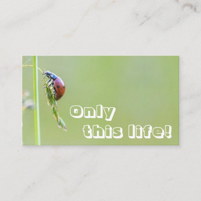 Beautiful ladybug with motivational quote business card (Front)