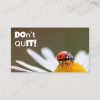 Beautiful ladybug with motivational quote