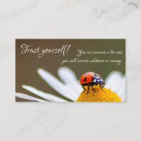 Beautiful ladybug with motivational quote