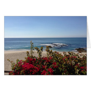 Beautiful Laguna Beach
