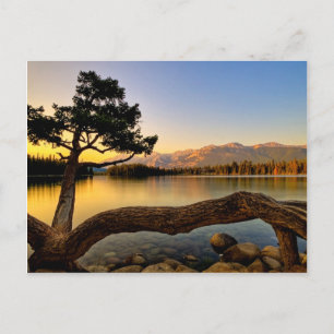 Beautiful lake postcard