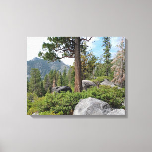 Beautiful Lake Tahoe Scenery Canvas Print