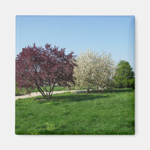 Beautiful Landscape and Trees Magnet