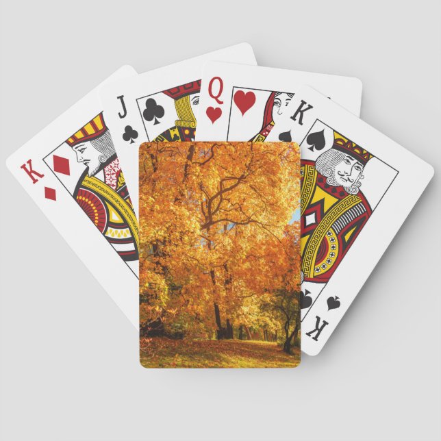 Beautiful Landscape  Playing Cards (Back)
