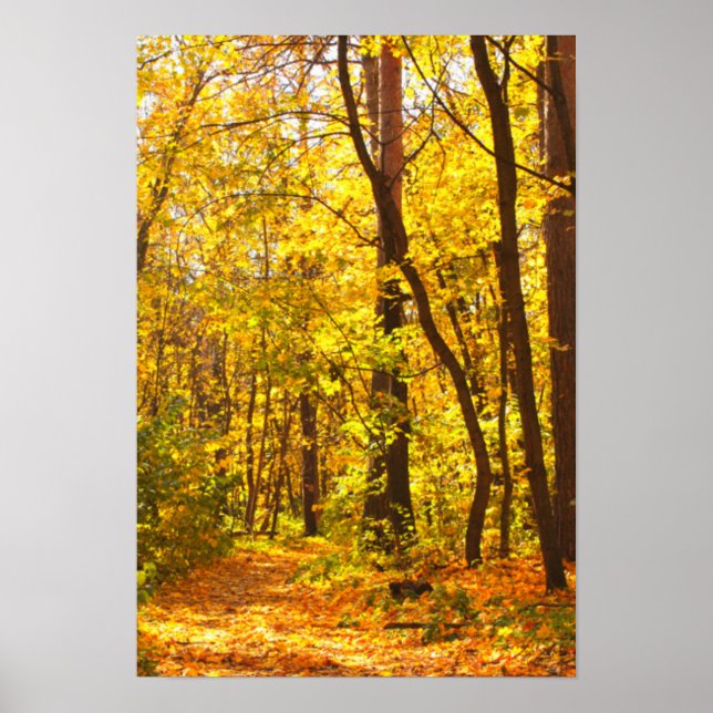 Beautiful Landscape - Road In Autumn Forest Poster (Front)