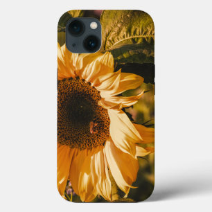 Beautiful Large Yellow Sunflower Tough  iPhone 13 Case