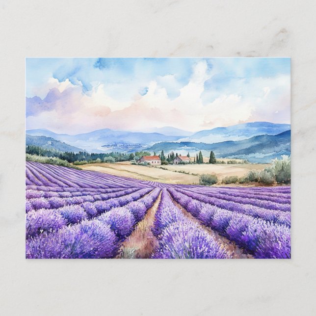Beautiful lavender fields art holiday postcard (Front)