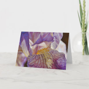 Beautiful Lavender Flower Close Up Note Card
