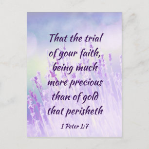 Beautiful Lavender Flower Field Bible Scripture Postcard