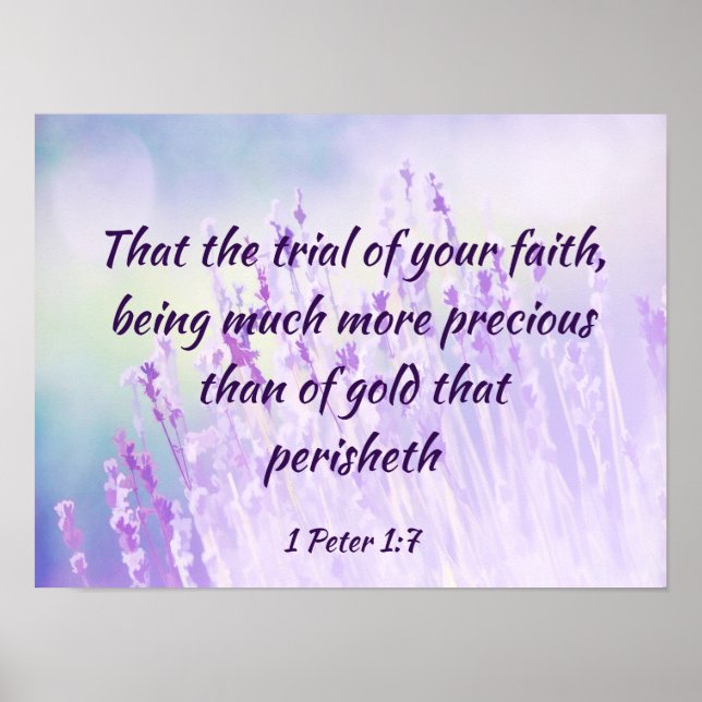 Beautiful Lavender Flower Field Bible Scripture Poster (Front)