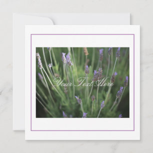 Beautiful Lavender Flowers Your Text Flat Card
