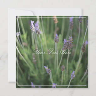 Beautiful Lavender Flowers Your Text Flat Card