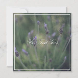 Beautiful Lavender Flowers Your Text Flat Card