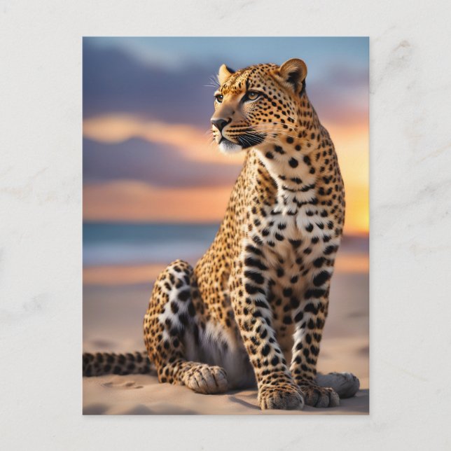 Beautiful Leopard Holiday Postcard (Front)