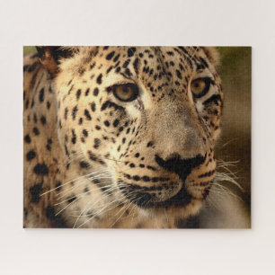 Beautiful Leopard Portrait, Jigsaw Puzzle
