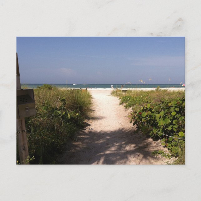 Beautiful Lido Beach Florida Post Card (Front)