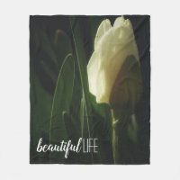 Beautiful Life Quote Daffodil Photo