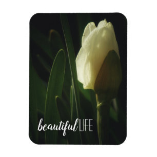 Beautiful Life Saying Daffodil Photograph Magnet