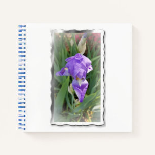 Beautiful Light Blue Iris Notebook