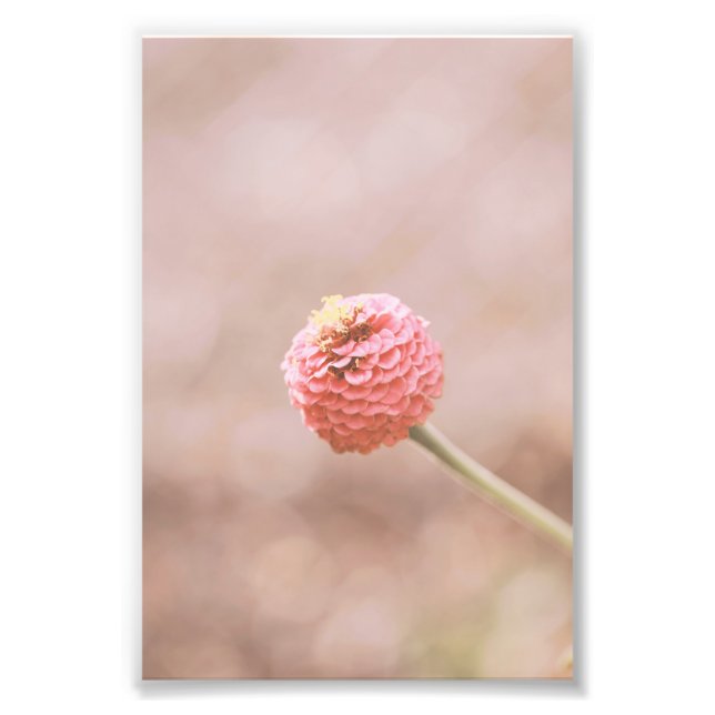 Beautiful Light Pink Flower Blossom Floral Photo Print (Front)