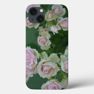 Beautiful light pink garden roses iPhone 13 case