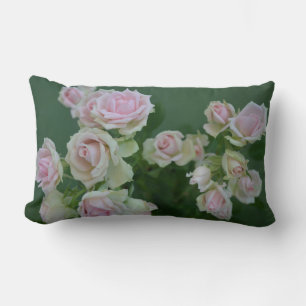 Beautiful light pink garden roses   lumbar cushion