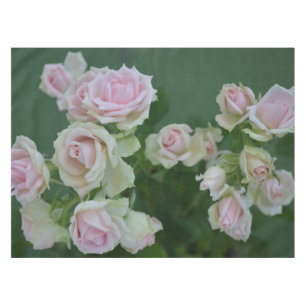 Beautiful light pink garden roses    tablecloth