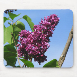 Beautiful Lilac Bloom Mouse Pad
