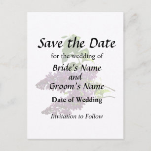 Beautiful Lilacs Announcement Postcard