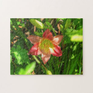 Beautiful Lily Jigsaw Puzzle