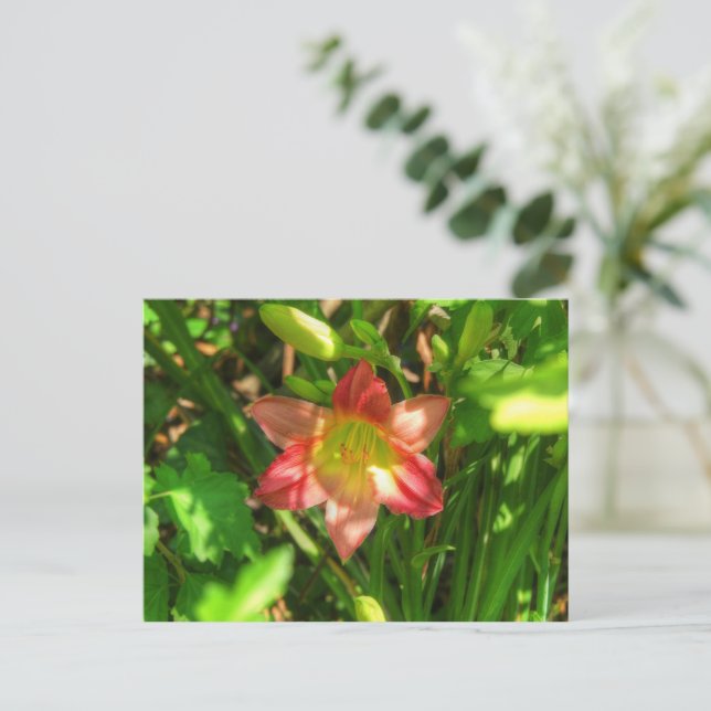 Beautiful Lily Postcard (Standing Front)