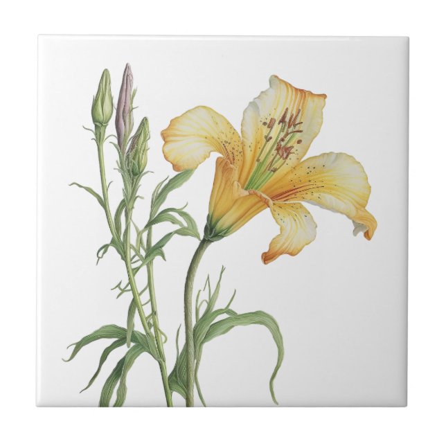 Beautiful Lily Vintage Botanical Ceramic Tile (Front)