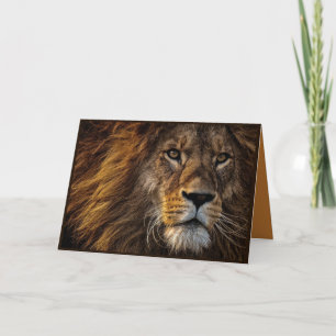 Beautiful Lion Folded Greeting Card