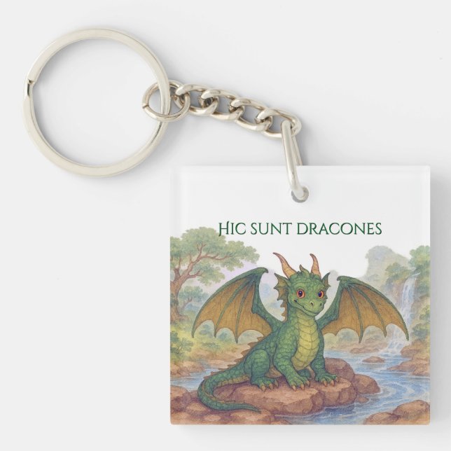 Beautiful little green dragon key ring (Front)