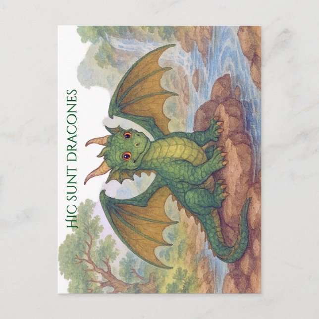 Beautiful little green dragon postcard (Front)